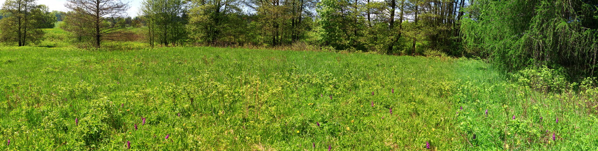 [Group 16]-2013_05_19_00015870_2013_05_19_00015891-22 images_Bildgr��e �ndern