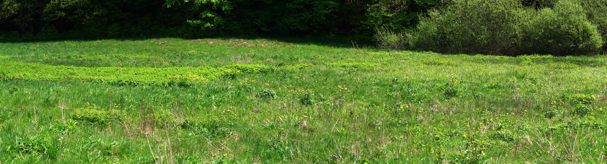 [Group 16]-2013_05_19_00015967_2013_05_19_00015980-4 images_Bildgr��e �ndern