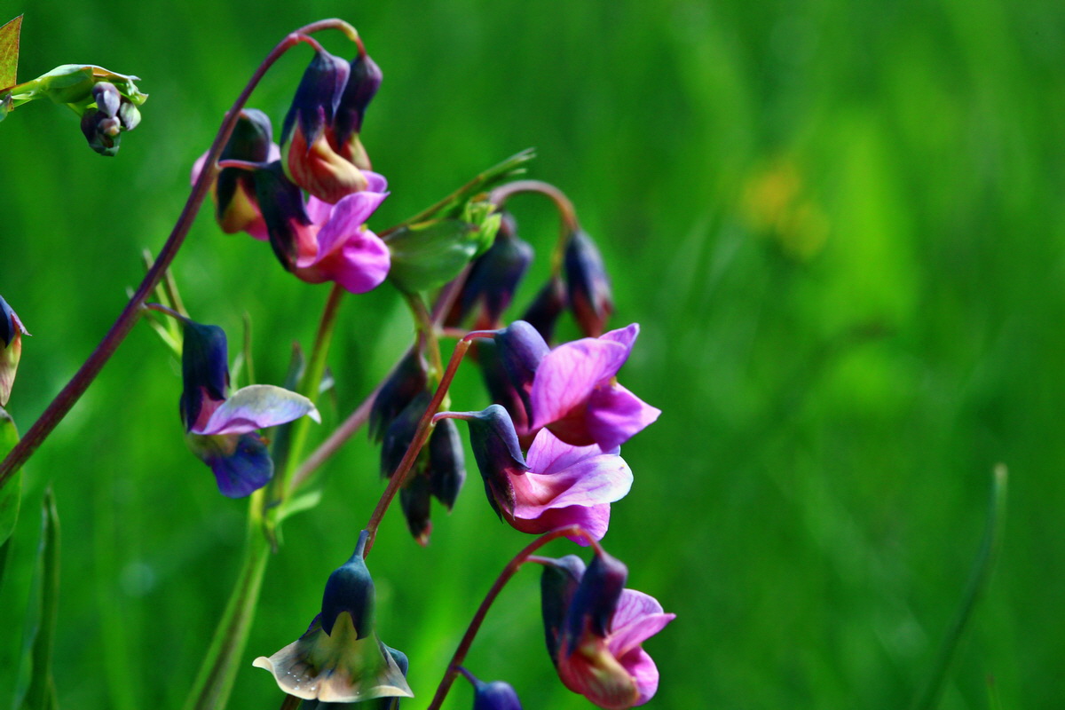 2013_05_19_00015406_Bildgr��e �ndern