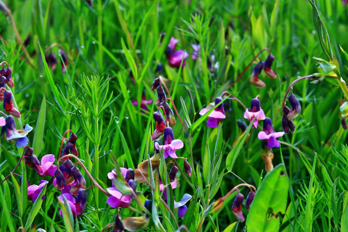 2013_05_19_00015412_Bildgr��e �ndern