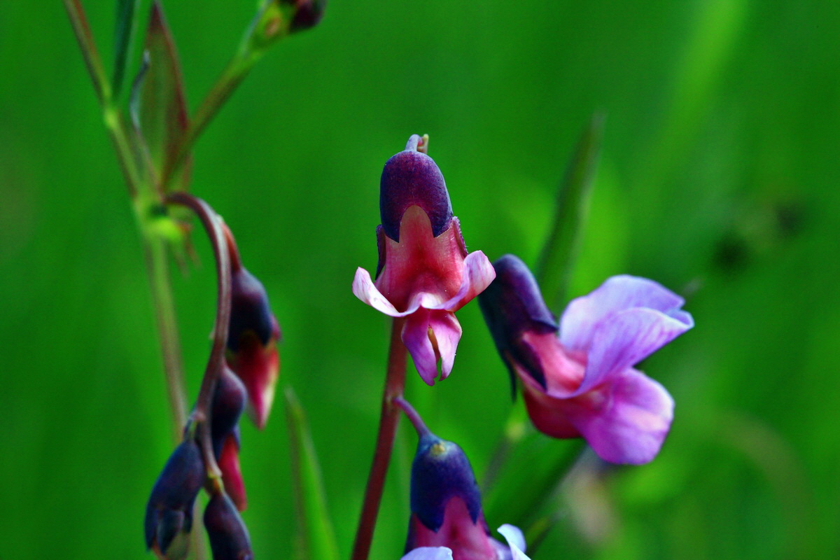 2013_05_19_00015415_Bildgr��e �ndern