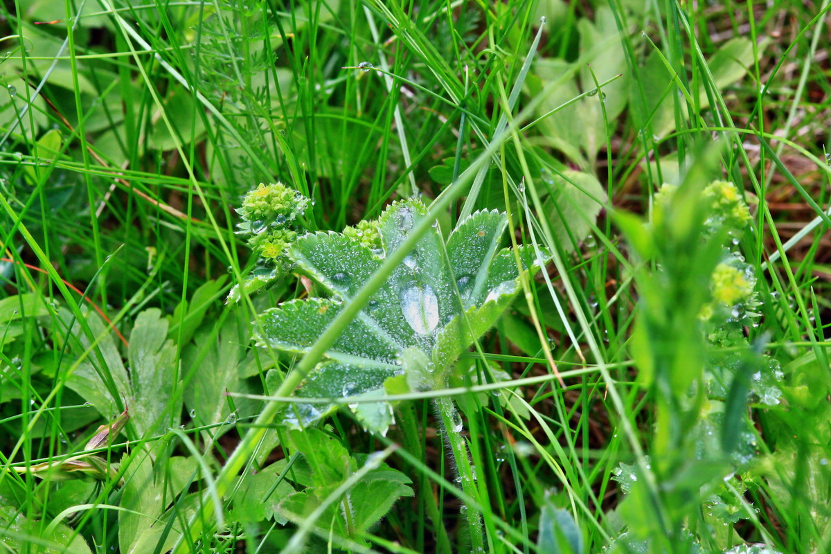 2013_05_19_00015418_Bildgr��e �ndern