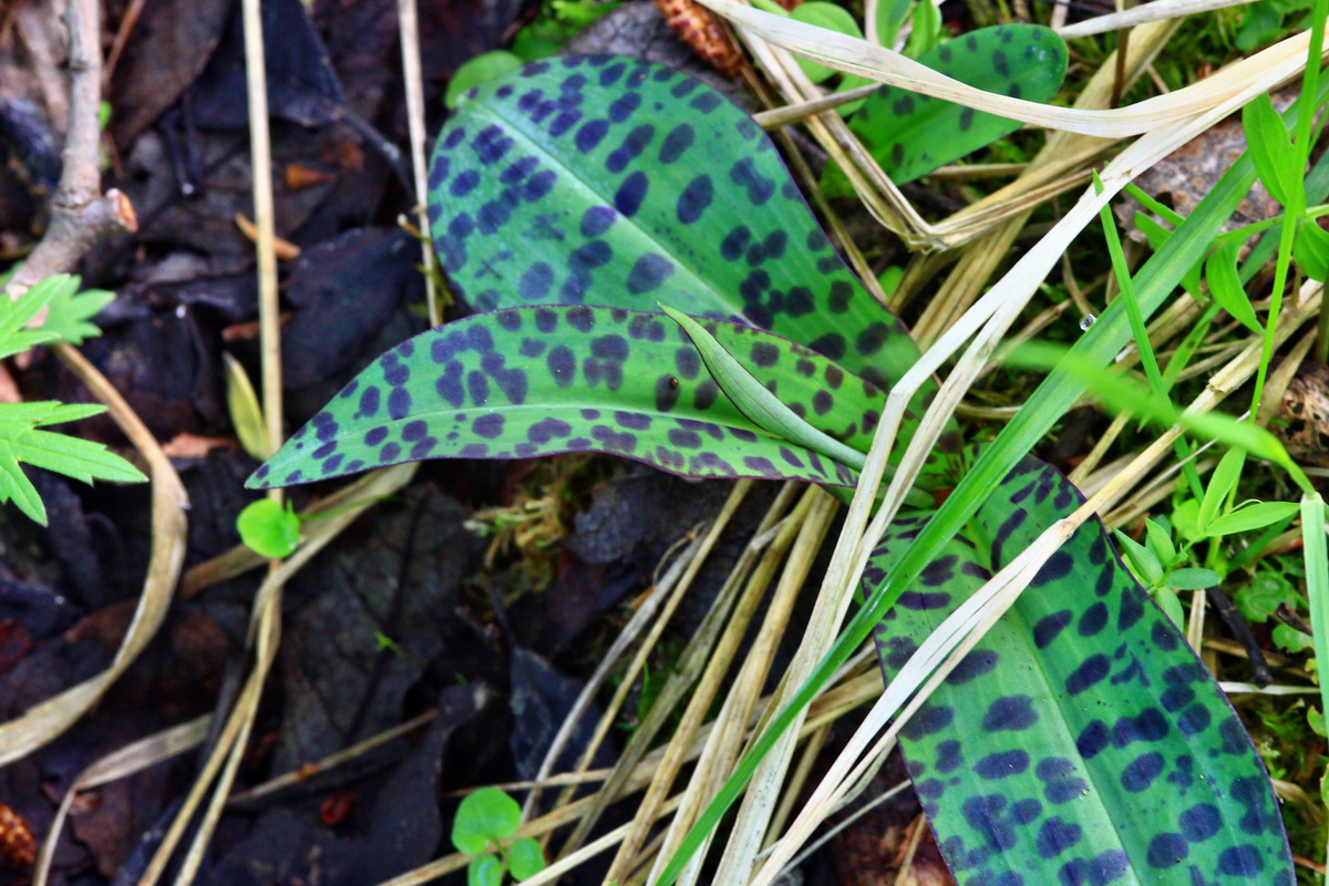 2013_05_19_00015427_Bildgr��e �ndern