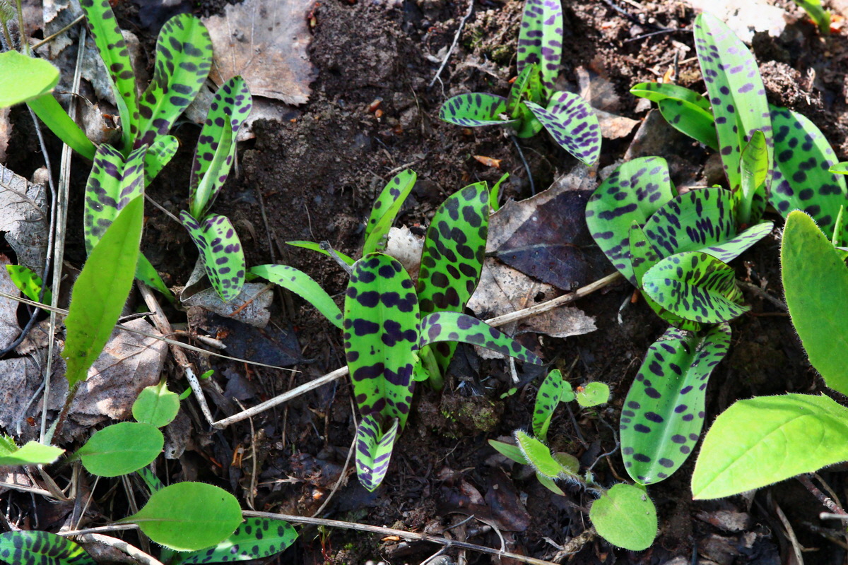 2013_05_19_00015431_Bildgr��e �ndern