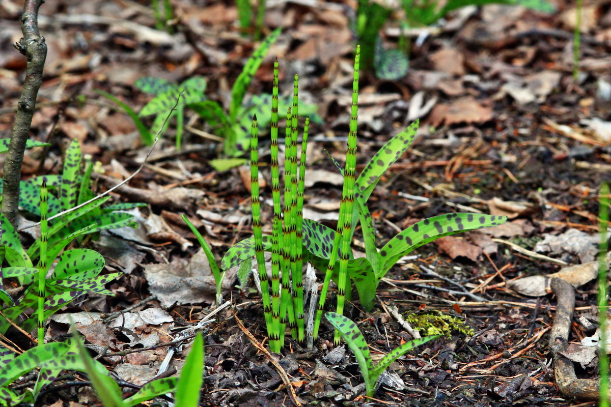 2013_05_19_00015457_Bildgr��e �ndern