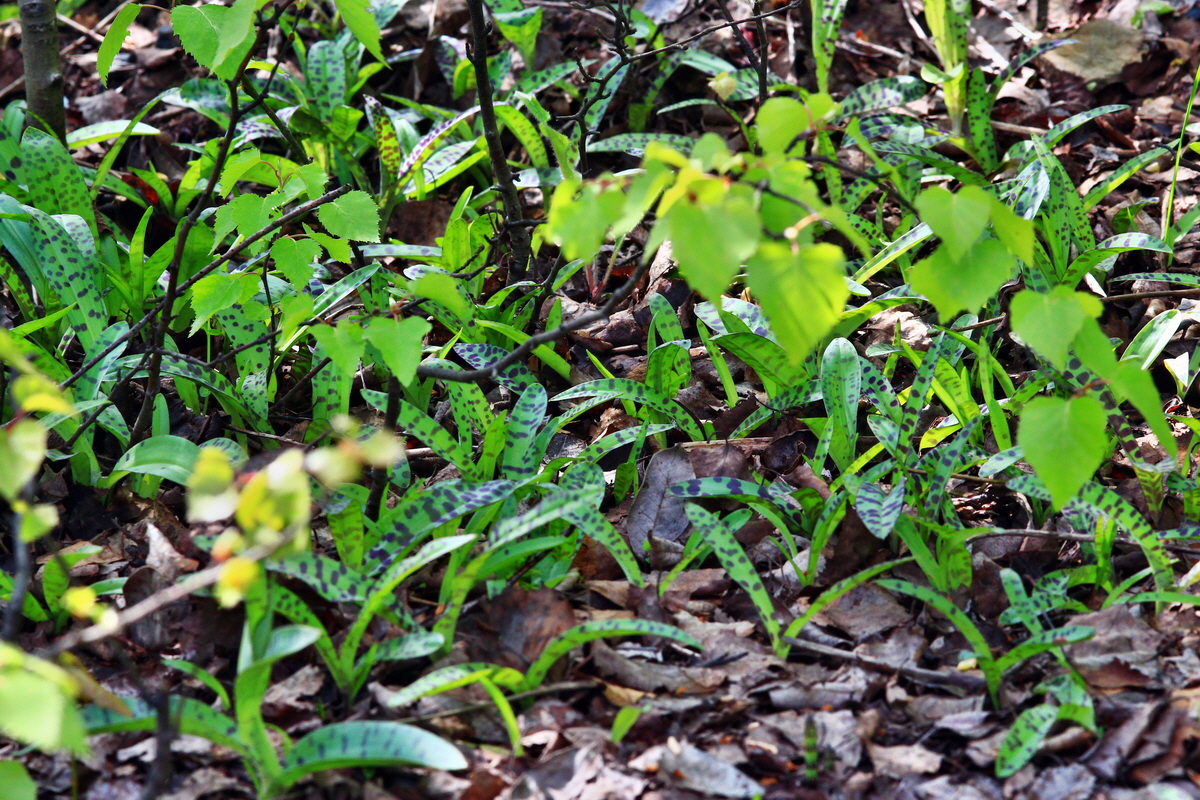 2013_05_19_00015459_Bildgr��e �ndern