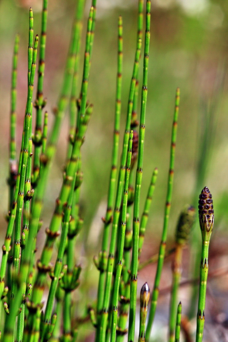 2013_05_19_00015484_Bildgr��e �ndern