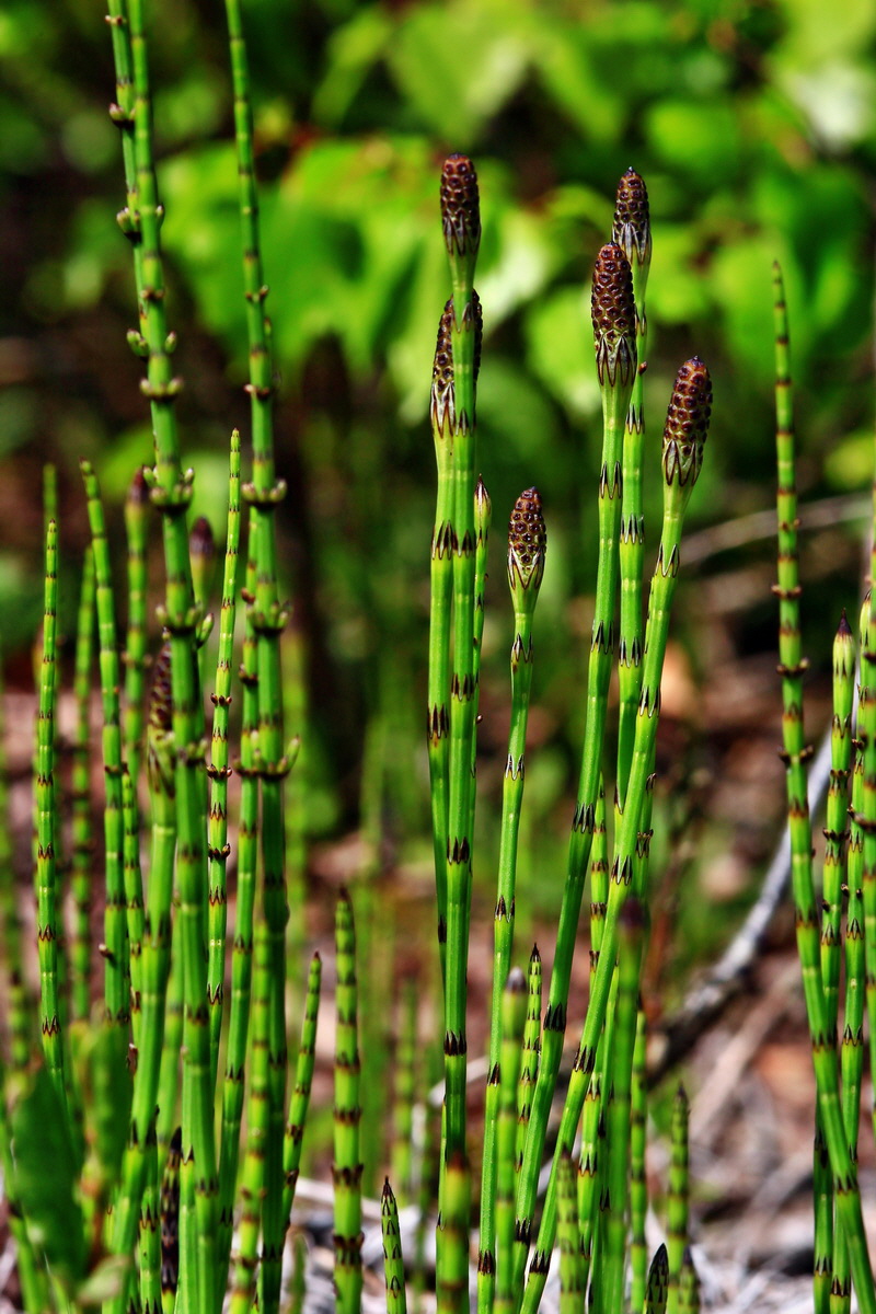 2013_05_19_00015489_Bildgr��e �ndern