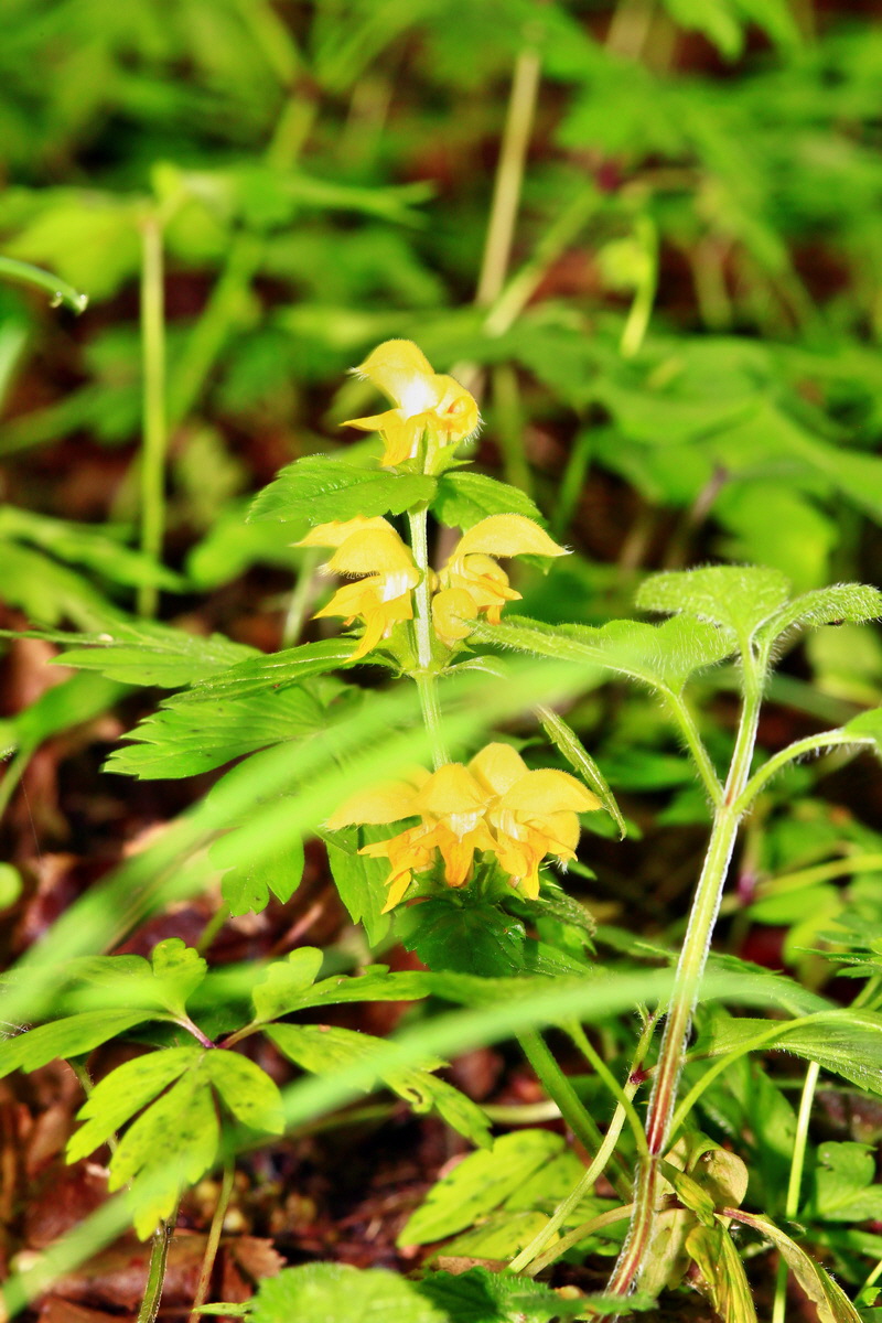 2013_05_19_00015529_Bildgr��e �ndern