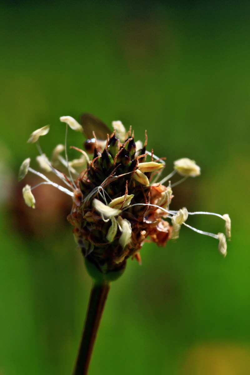 2013_05_19_00015535_Bildgr��e �ndern