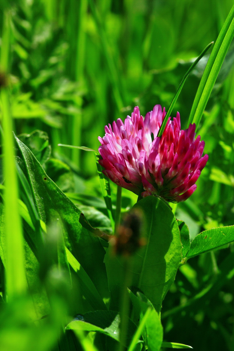 2013_05_19_00015544_Bildgr��e �ndern