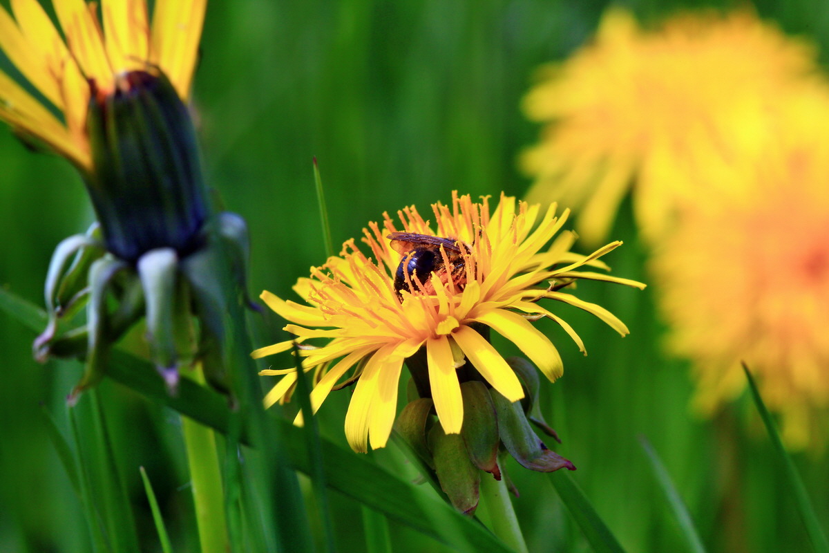 2013_05_19_00015561_Bildgr��e �ndern