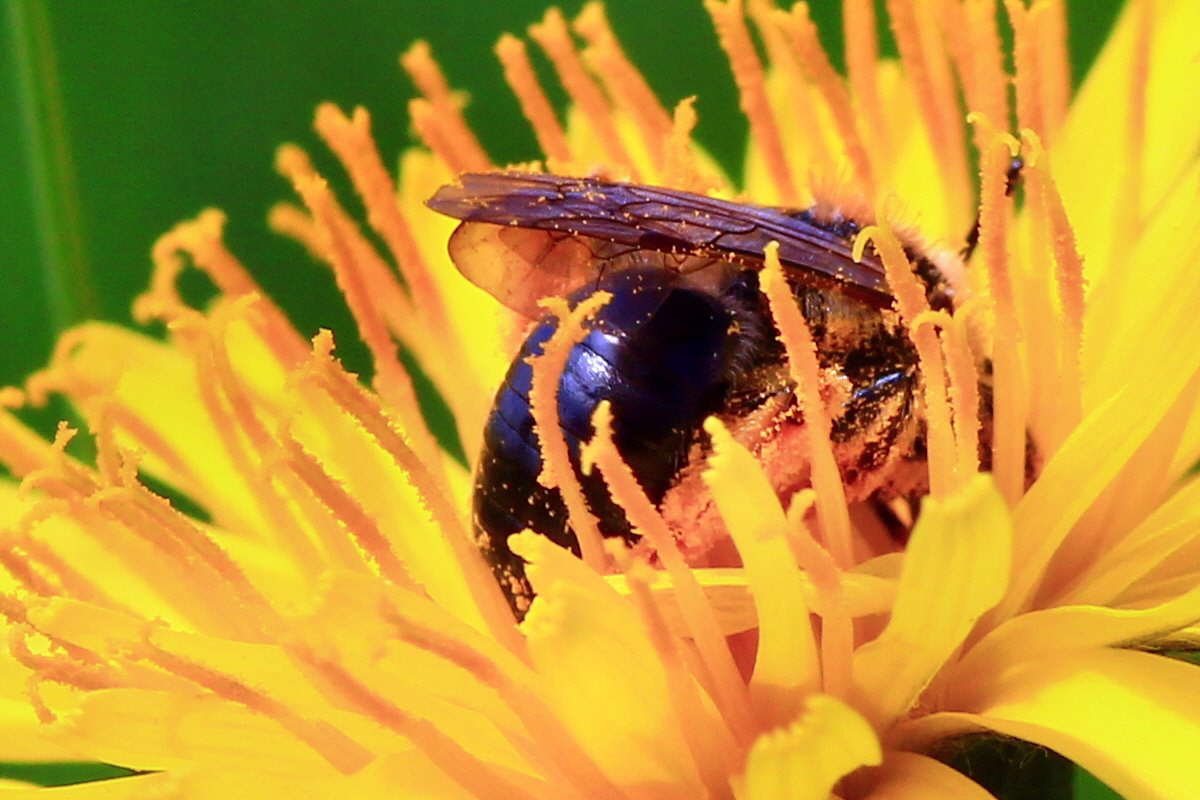 2013_05_19_00015561a