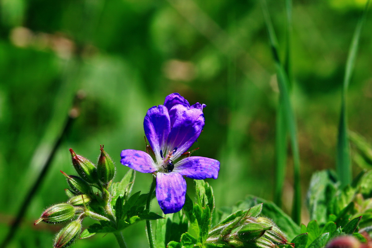 2013_05_19_00015576_Bildgr��e �ndern