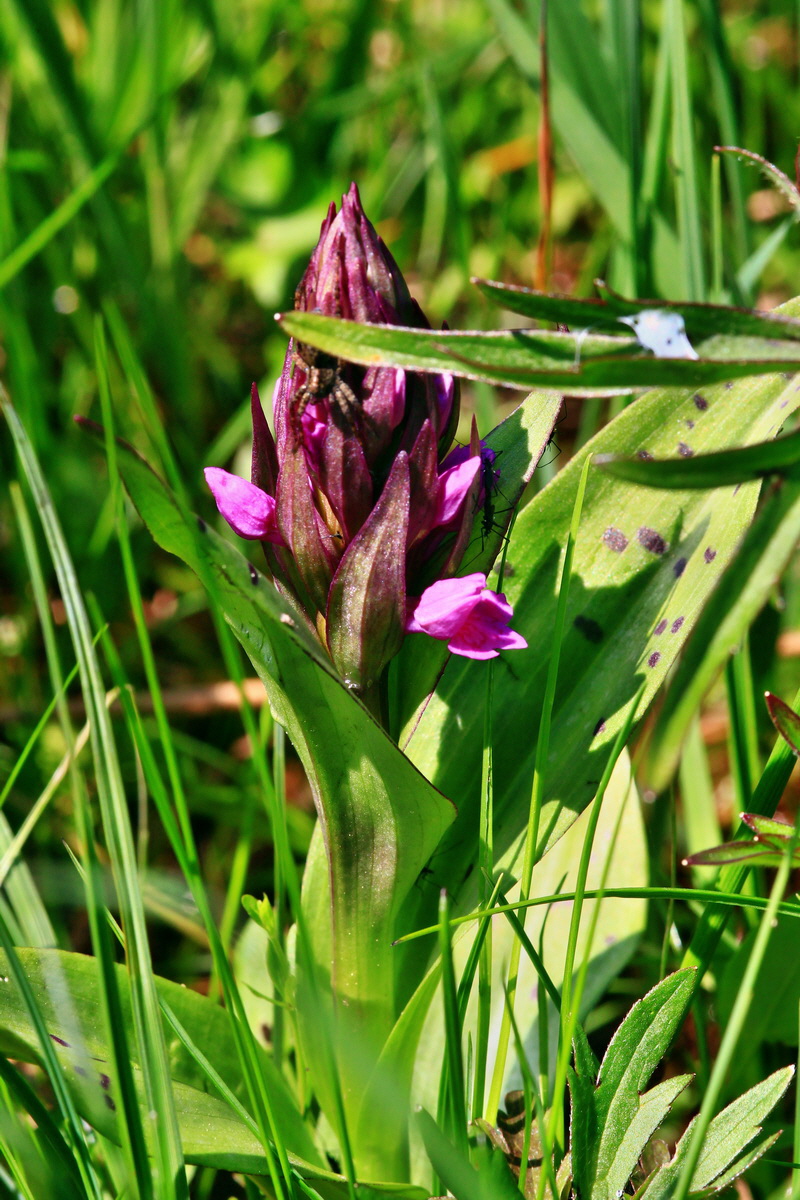 2013_05_19_00015662_Bildgr��e �ndern