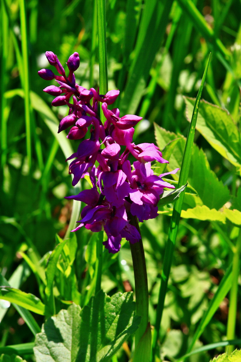 2013_05_19_00015694_Bildgr��e �ndern