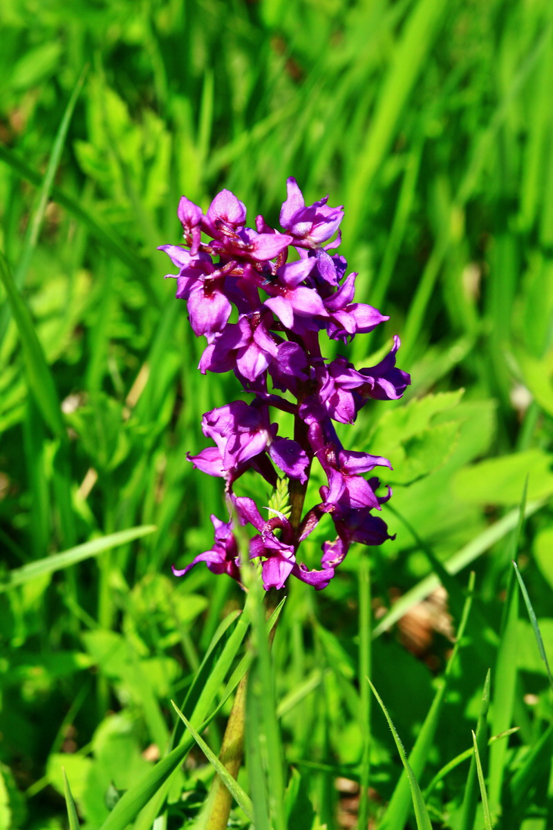 2013_05_19_00015698_Bildgr��e �ndern