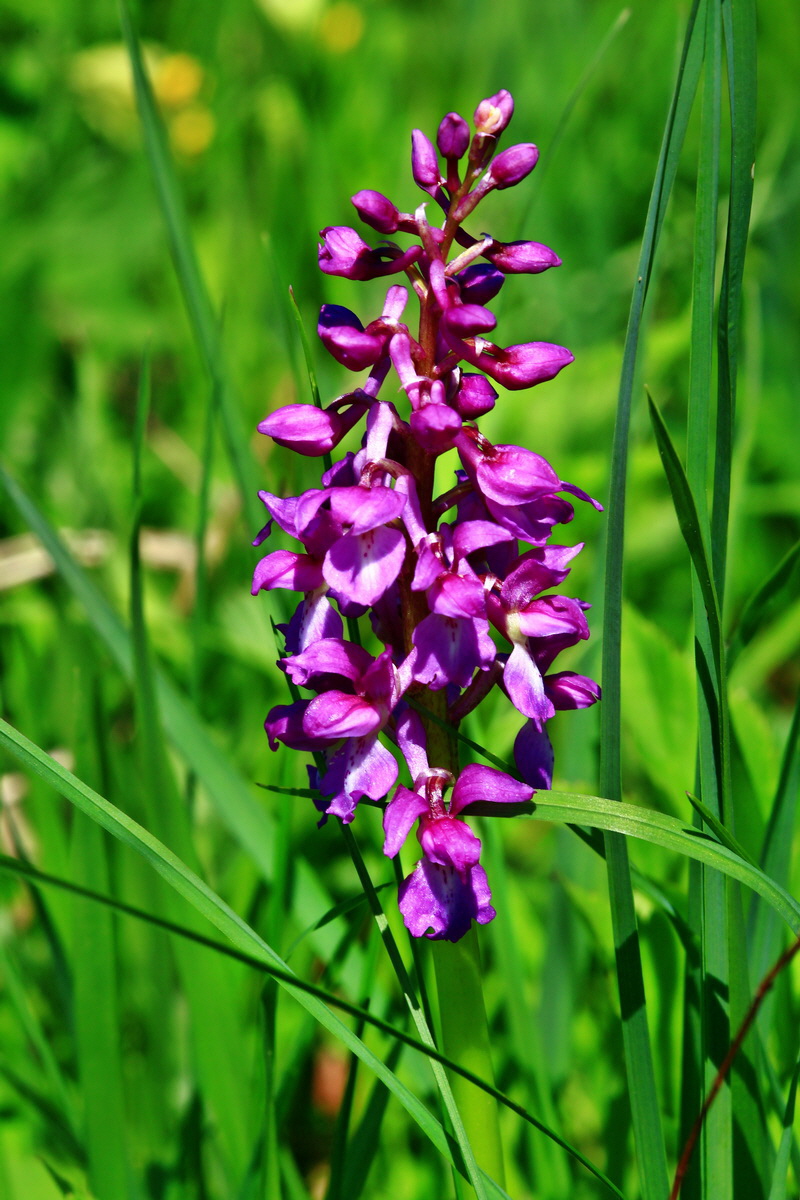 2013_05_19_00015703_Bildgr��e �ndern