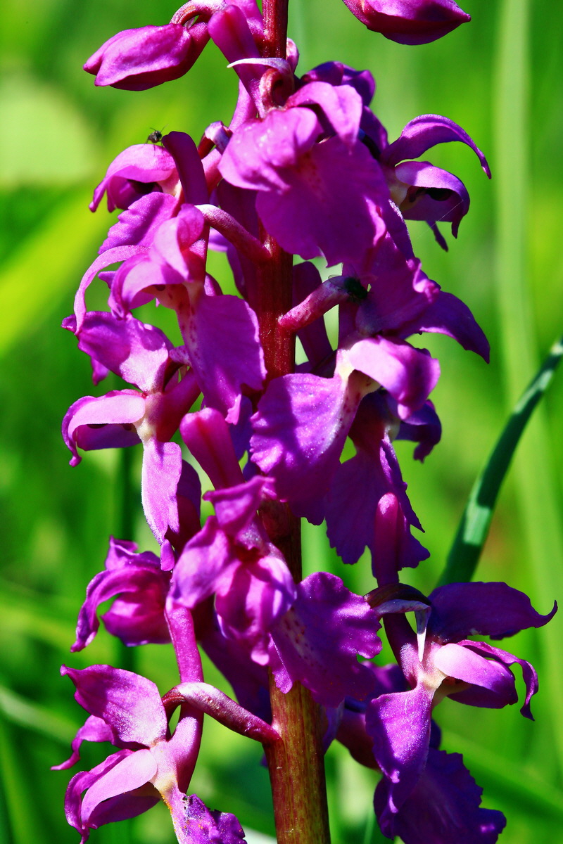 2013_05_19_00015712_Bildgr��e �ndern