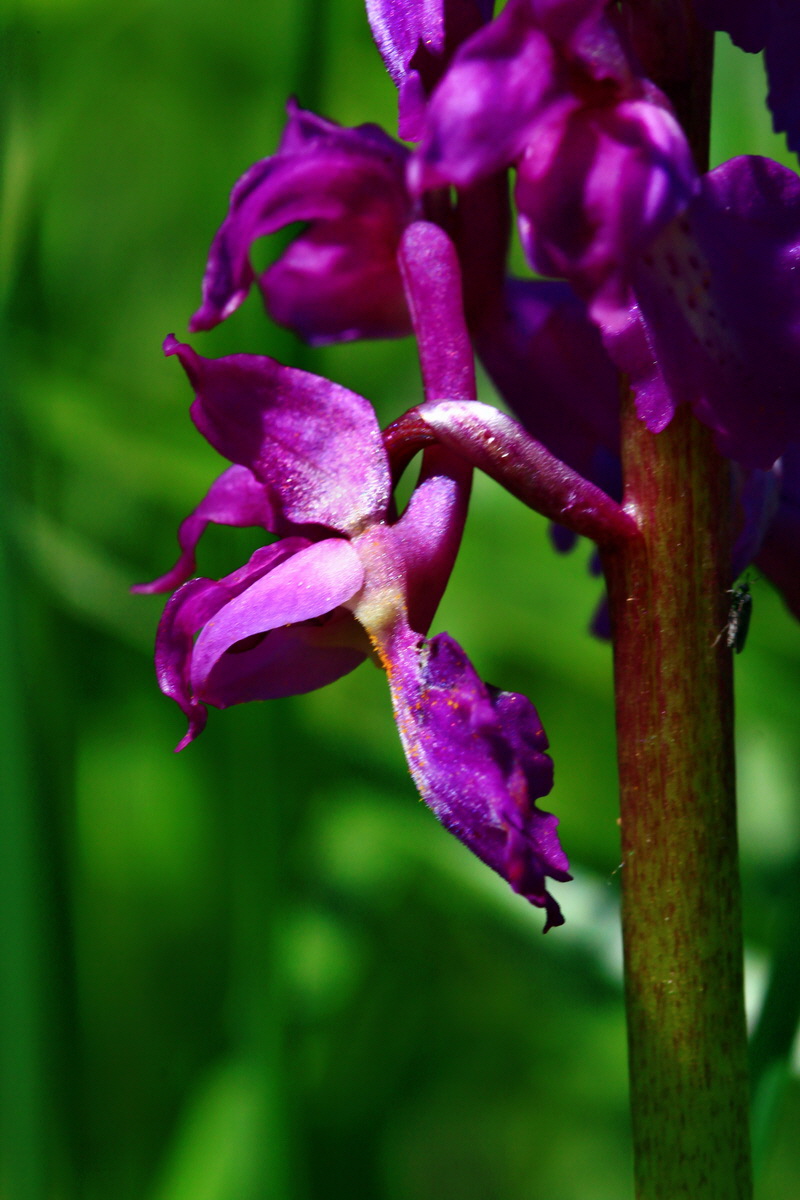 2013_05_19_00015717_Bildgr��e �ndern