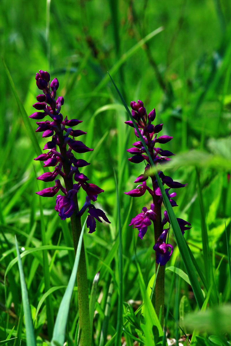 2013_05_19_00015729_Bildgr��e �ndern