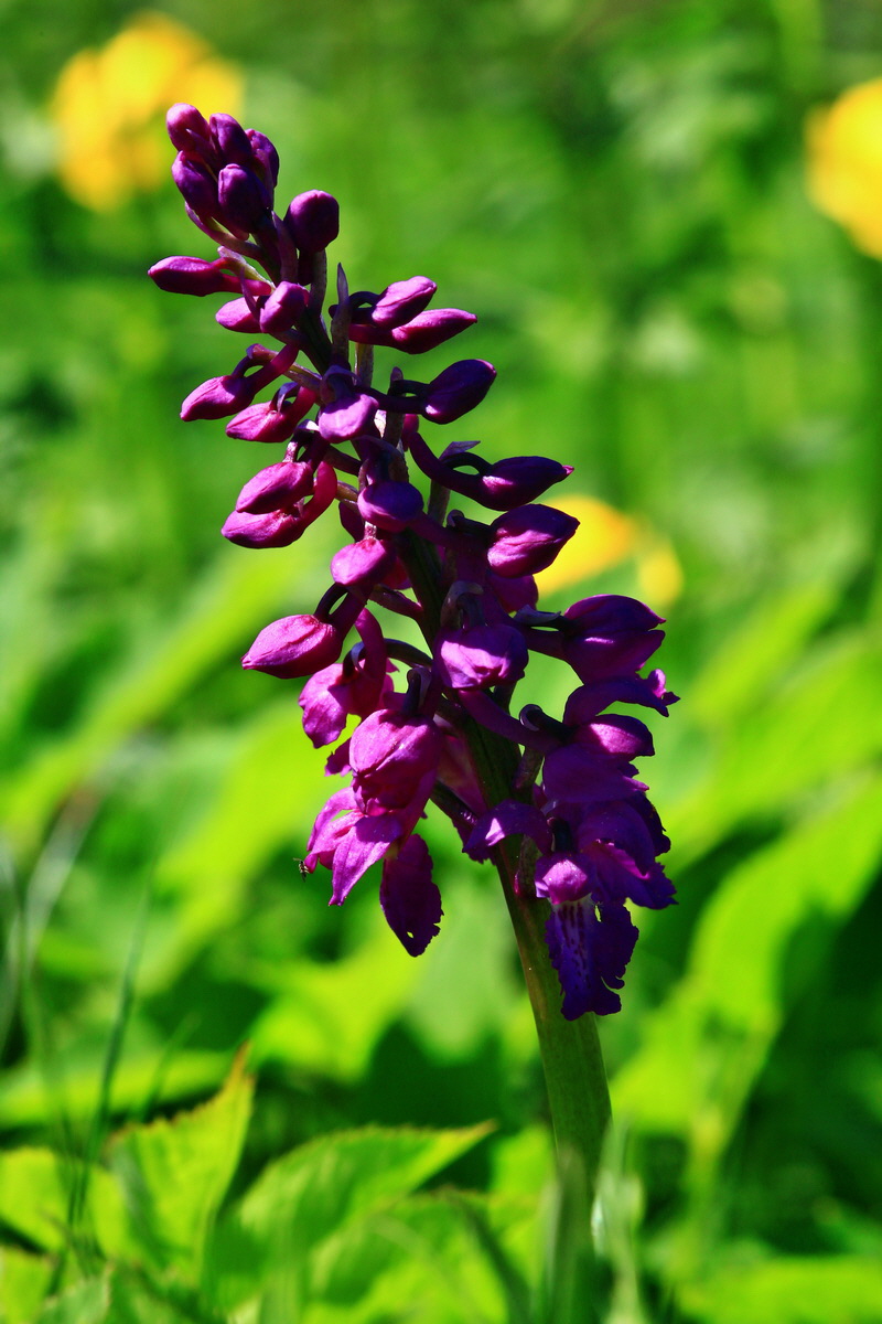 2013_05_19_00015734_Bildgr��e �ndern