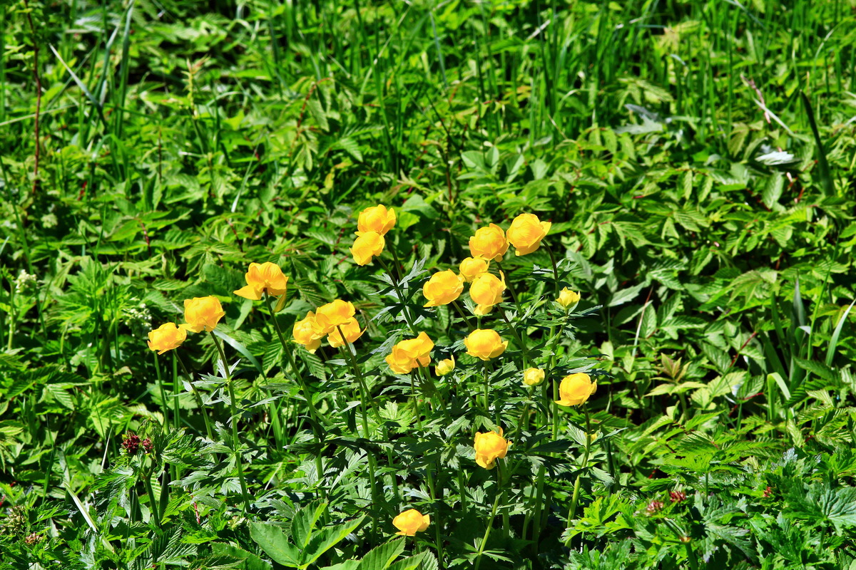 2013_05_19_00015757_Bildgr��e �ndern