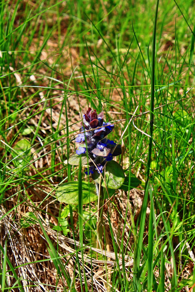 2013_05_19_00015928_Bildgr��e �ndern