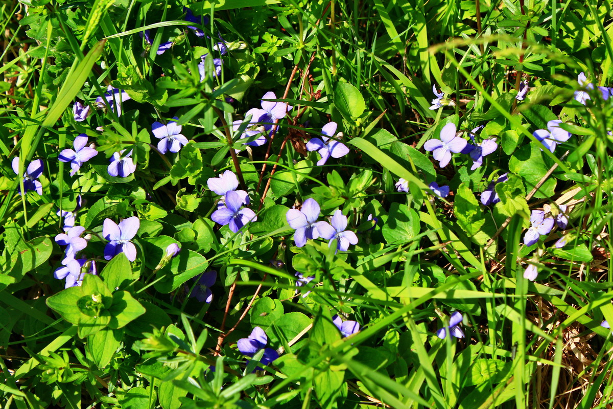 2013_05_19_00015957_Bildgr��e �ndern