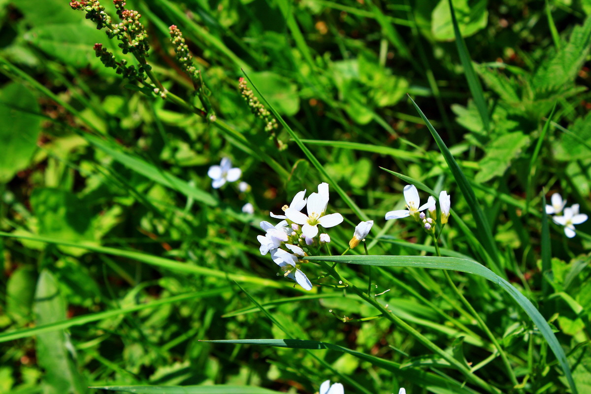 2013_05_19_00015960_Bildgr��e �ndern