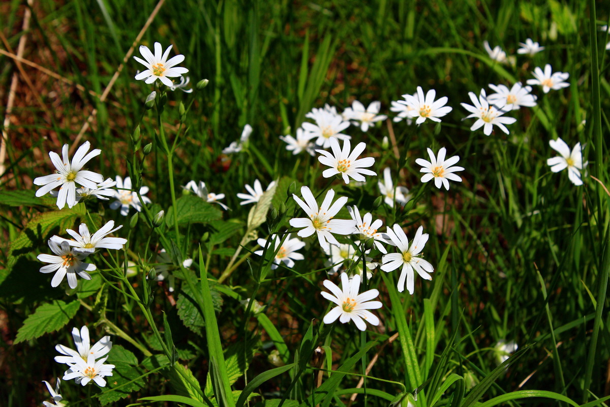 2013_05_19_00015984_Bildgr��e �ndern