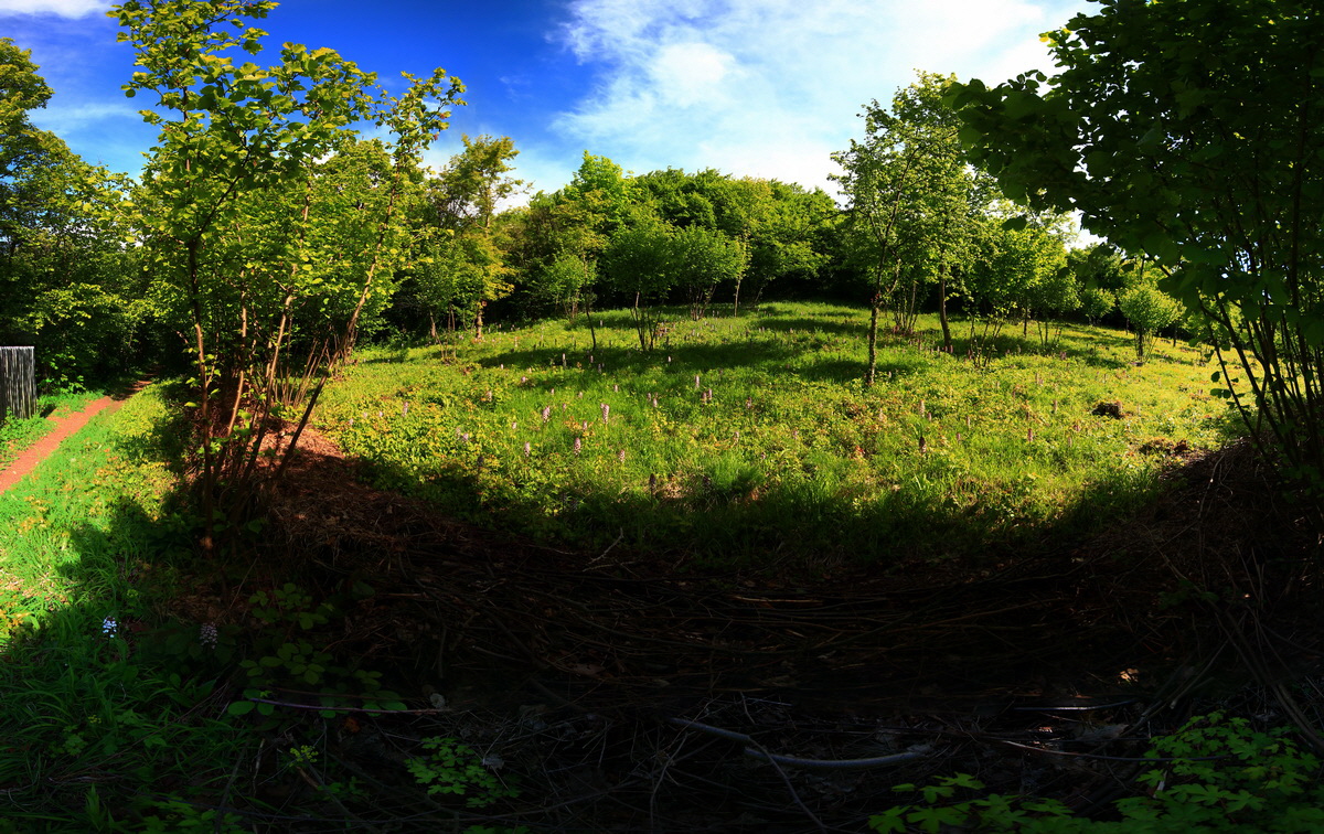 [Group 5]-2013_05_21_00016080_2013_05_21_00016101-22 images_Bildgr��e �ndern