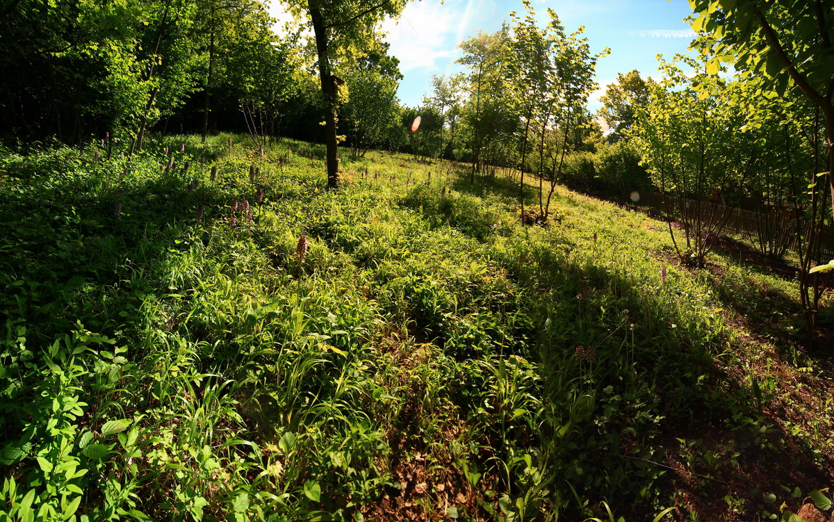 [Group 5]-2013_05_21_00016102_2013_05_21_00016107-3 images_Bildgr��e �ndern