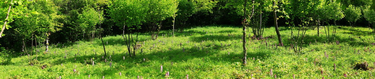 [Group 6]-2013_05_21_00016144_2013_05_21_00016158-15 images_Bildgr��e �ndern