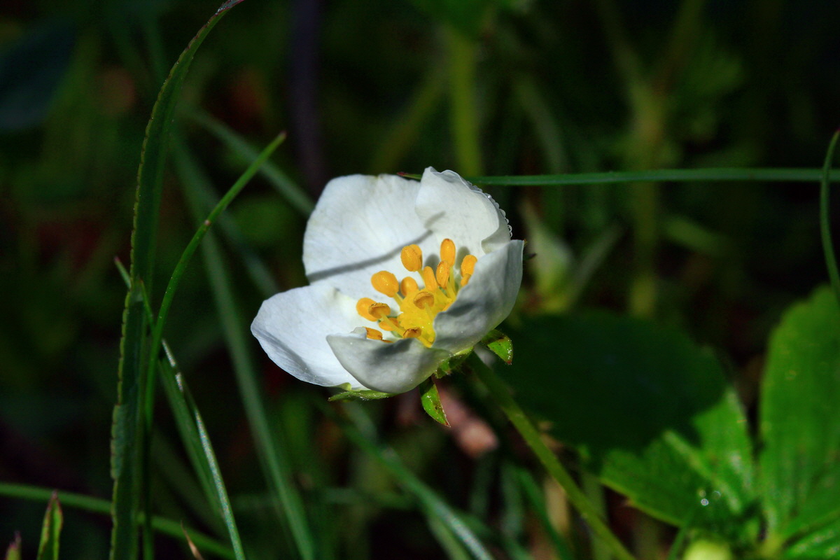 2013_05_21_00016006_Bildgr��e �ndern