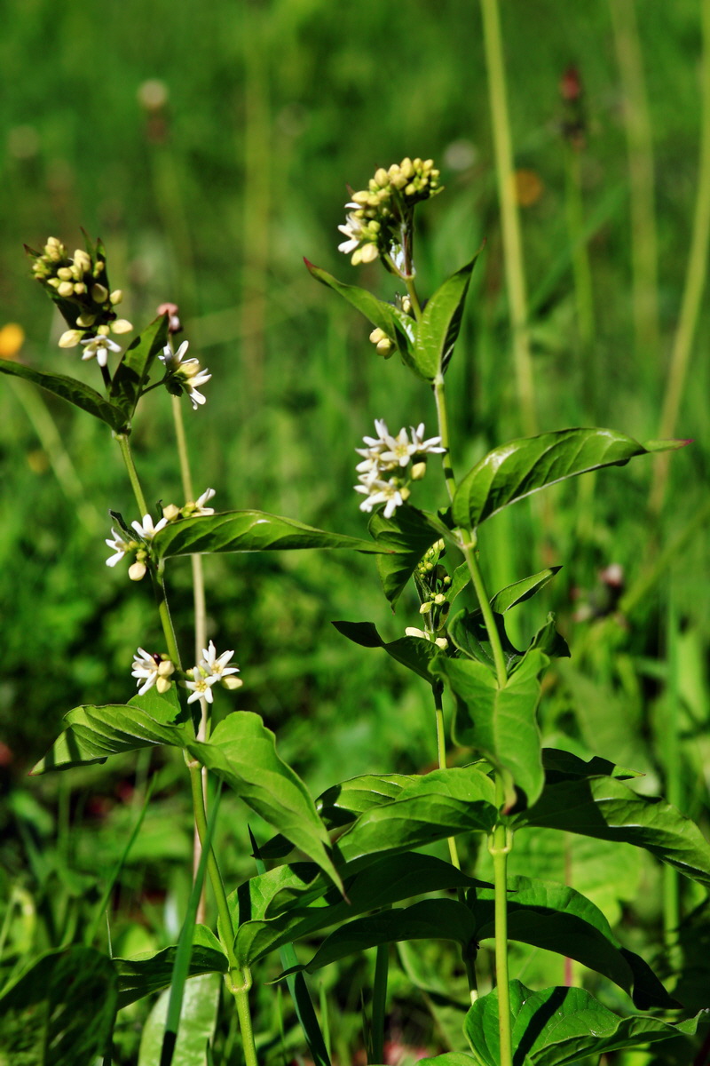 2013_05_21_00016034_Bildgr��e �ndern