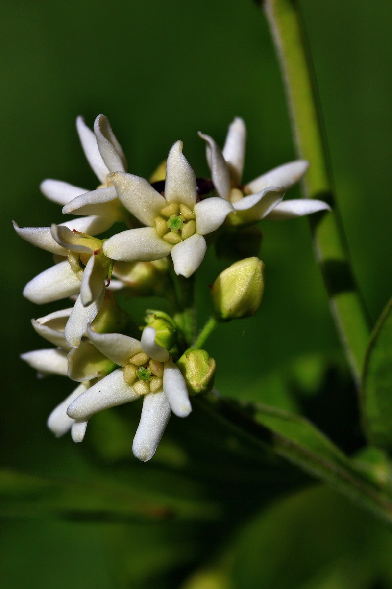 2013_05_21_00016045_Bildgr��e �ndern