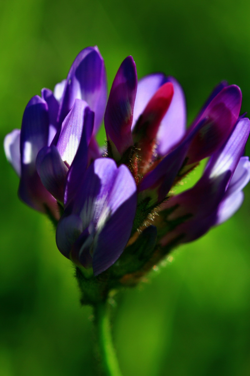 2013_05_21_00016051_Bildgr��e �ndern