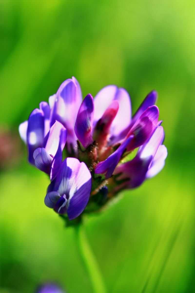 2013_05_21_00016056_Bildgr��e �ndern