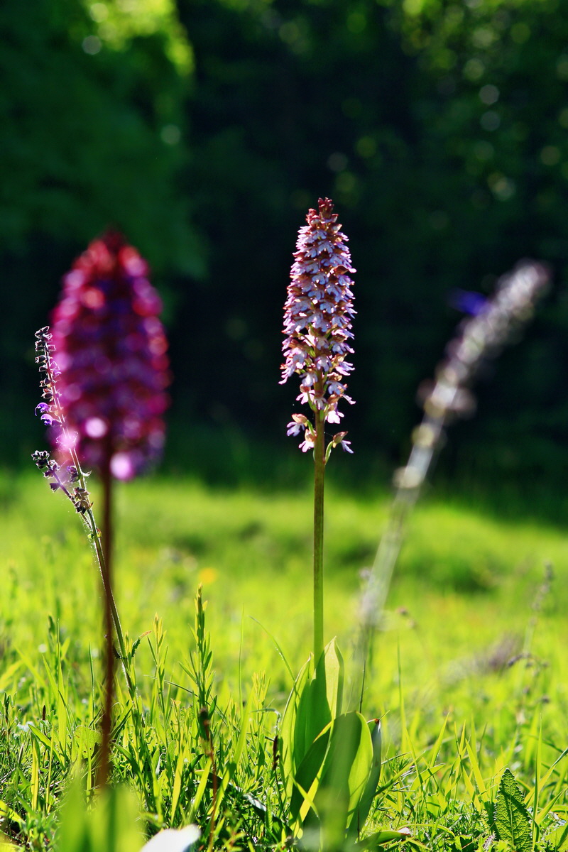 2013_05_21_00016060_Bildgr��e �ndern