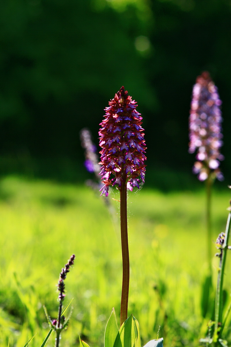 2013_05_21_00016062_Bildgr��e �ndern