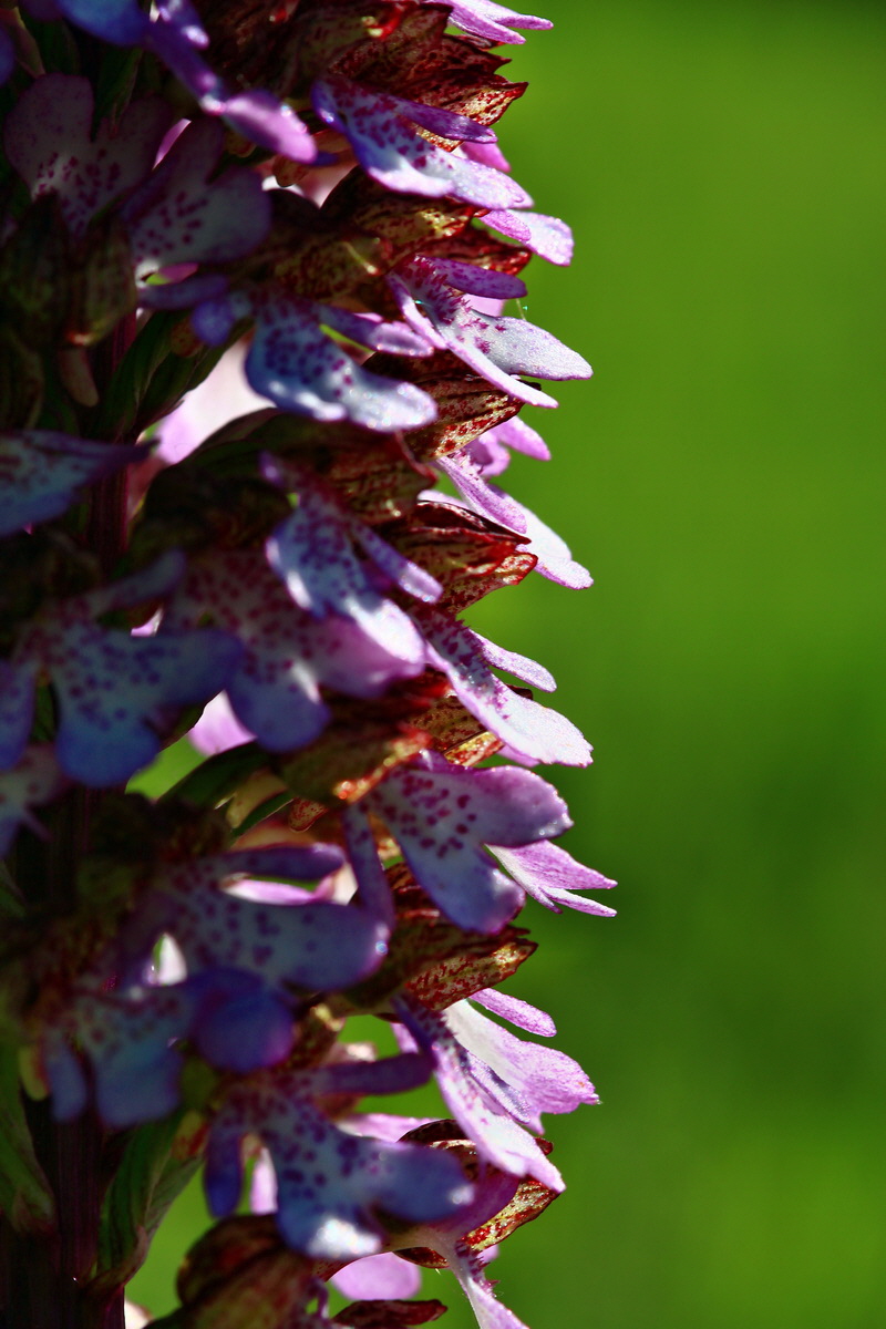 2013_05_21_00016074_Bildgr��e �ndern