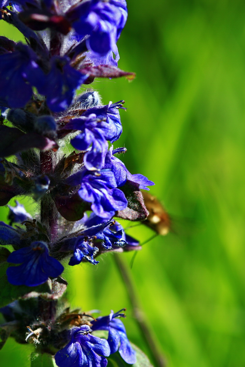 2013_05_21_00016078_Bildgr��e �ndern