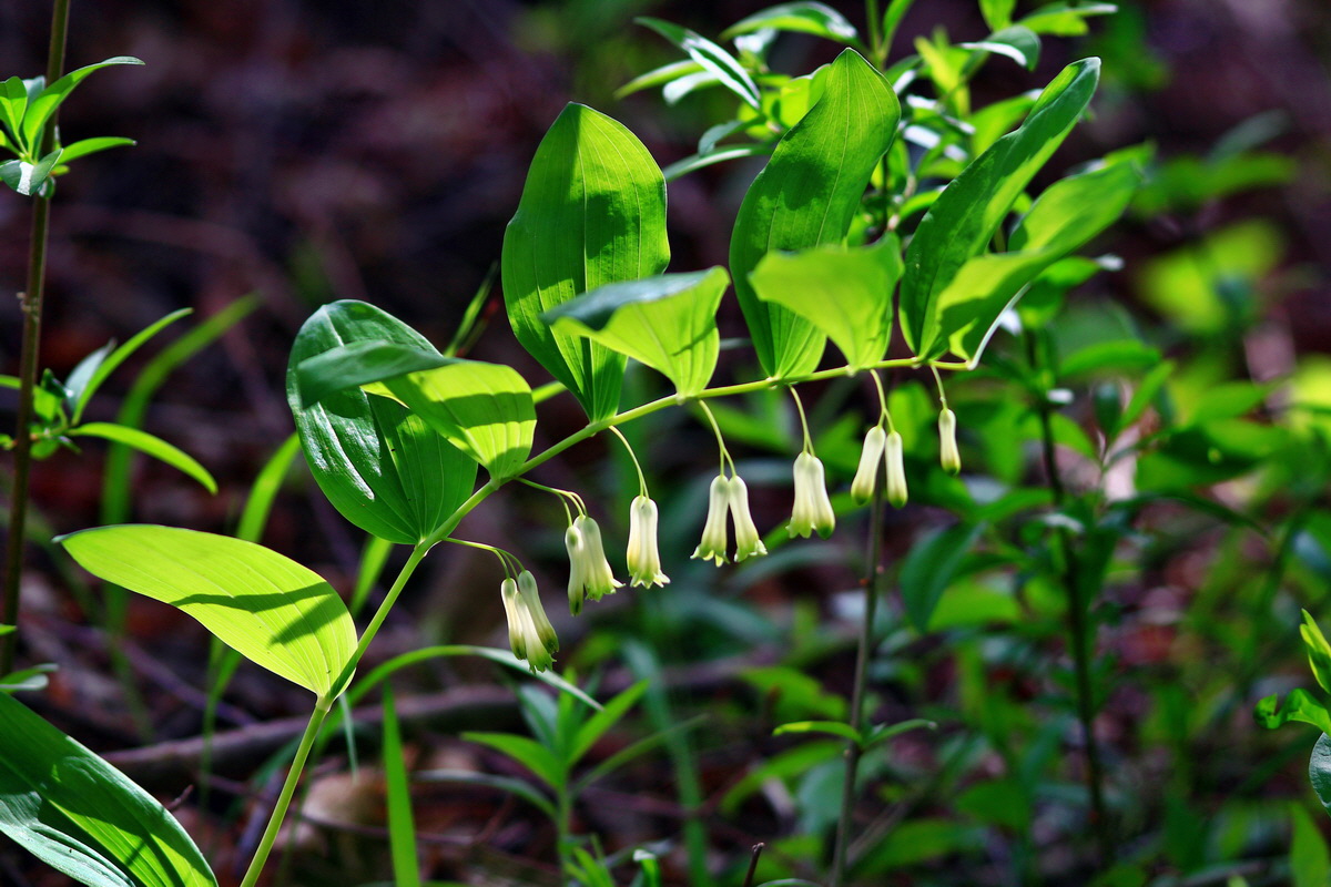 2013_05_21_00016264_Bildgr��e �ndern