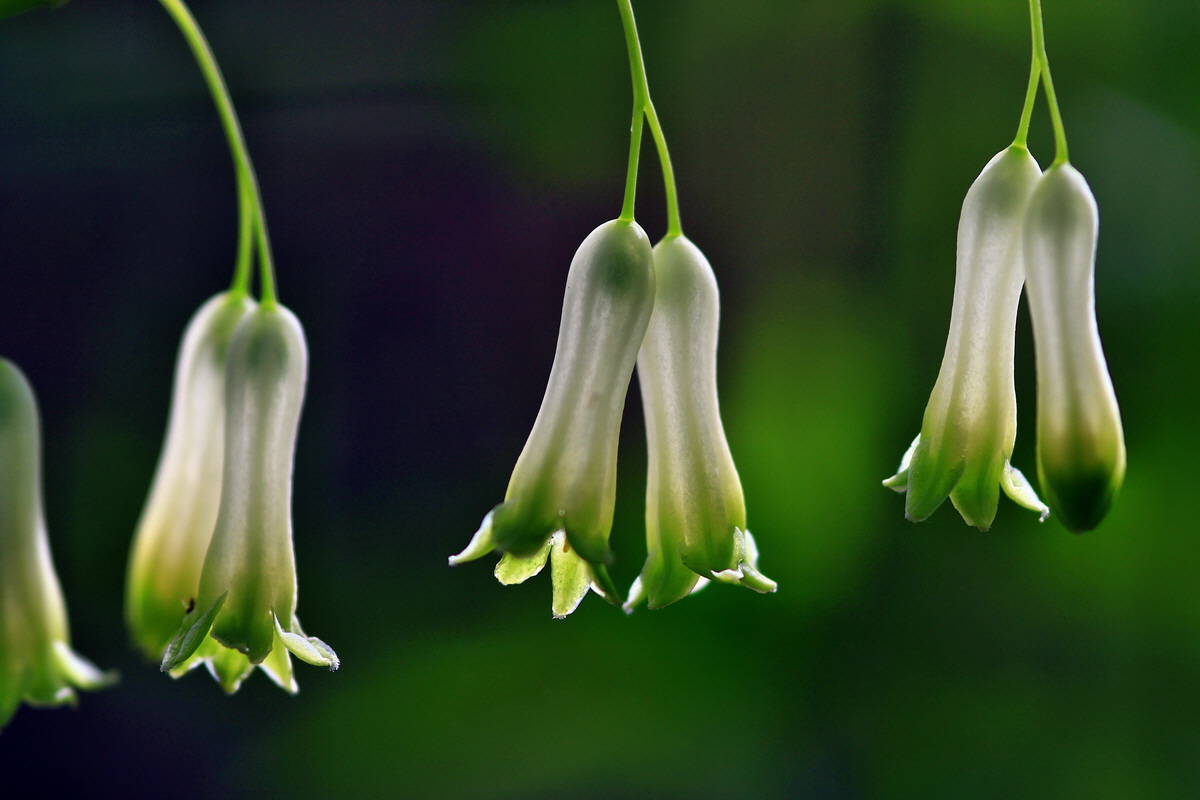 2013_05_21_00016278_Bildgr��e �ndern