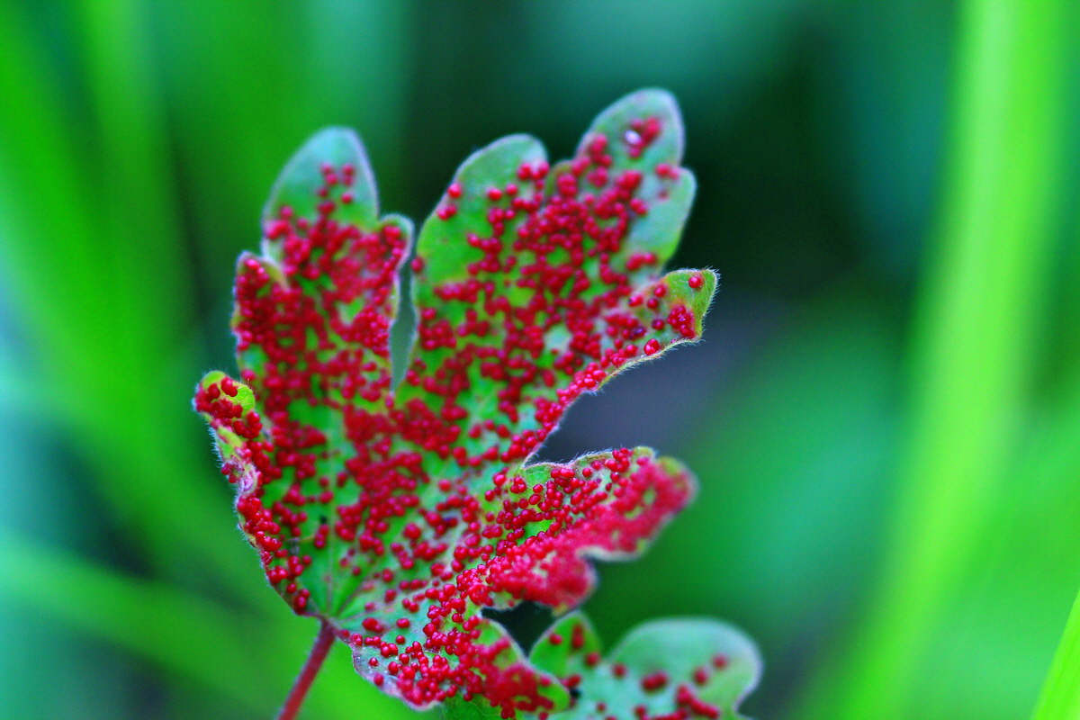 2013_05_21_00016282_Bildgr��e �ndern