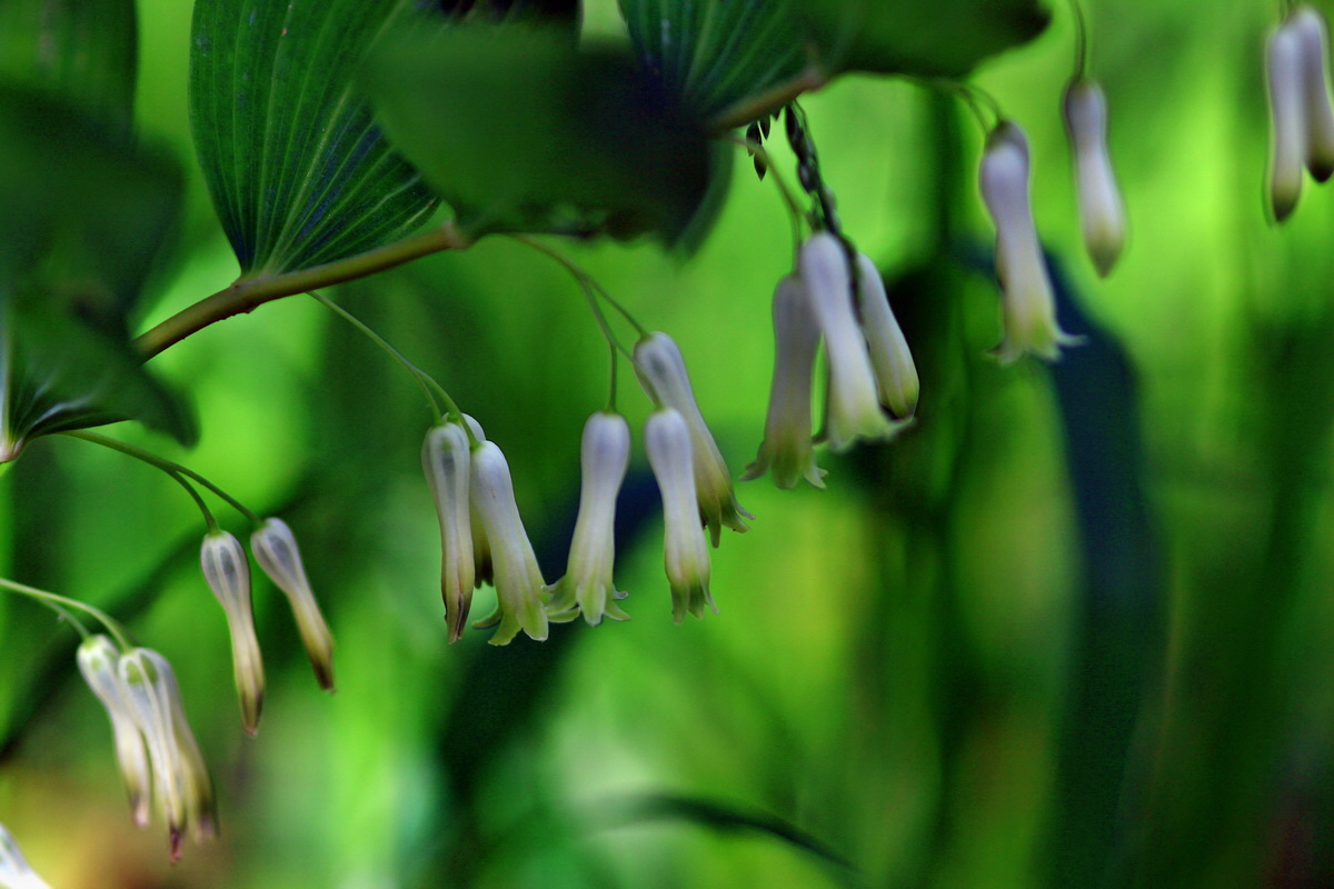 2013_05_21_00016284_Bildgr��e �ndern