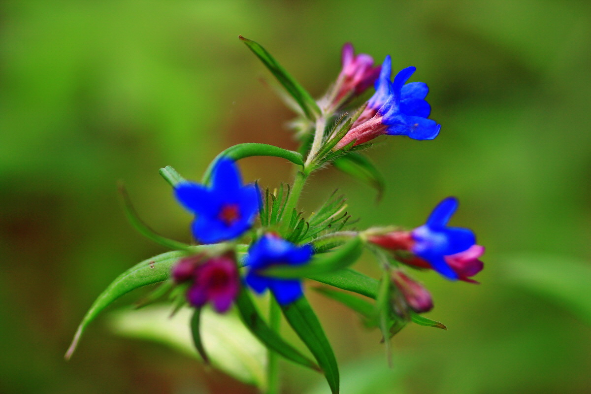 2013_05_21_00016292_Bildgr��e �ndern