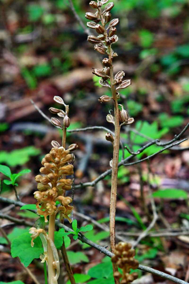 2013_05_21_00016319_Bildgr��e �ndern