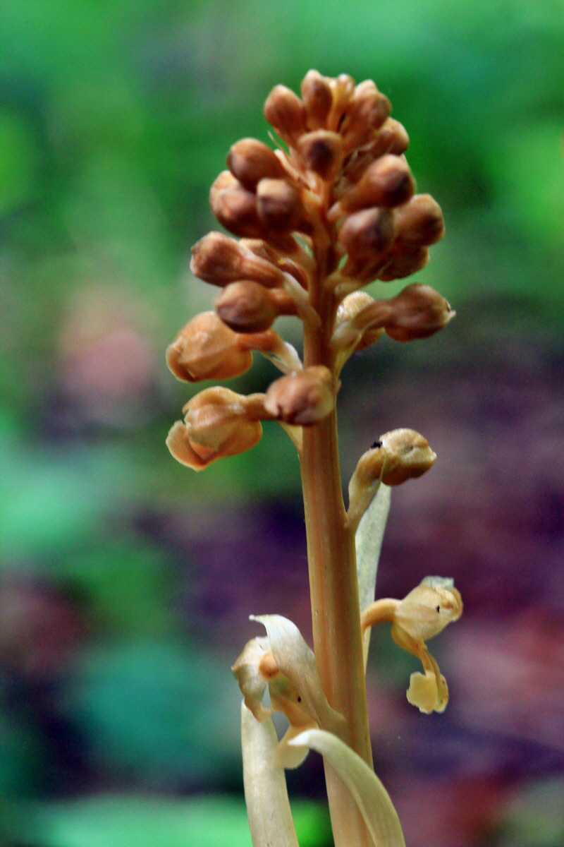 2013_05_21_00016328_Bildgr��e �ndern